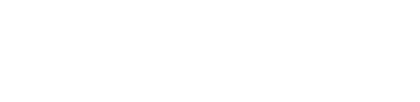 DapuStor